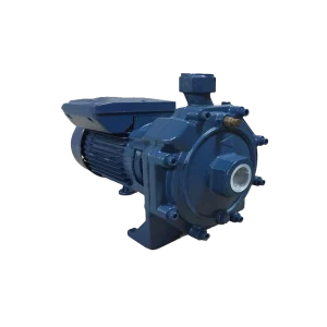 پمپ بشقابی 1.5 اسب دو پروانه پنتاکس CB 160/00